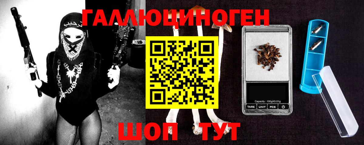 Галлюциногенные грибы Psilocybine cubensis  Псилоцибиновые грибы MAGIC MUSHROOMS  Вход с VPN  Унеча 