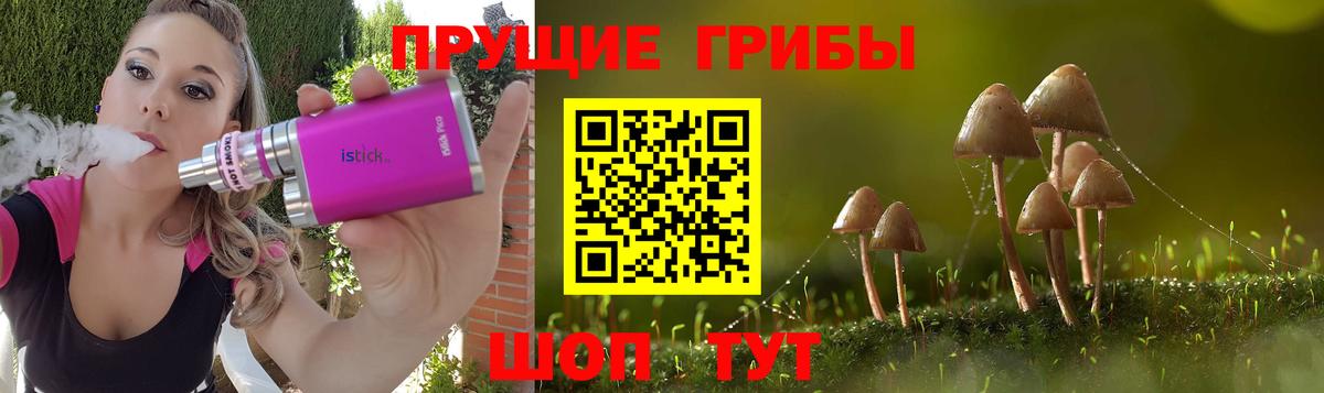 Галлюциногенные грибы Magic Shrooms Унеча
